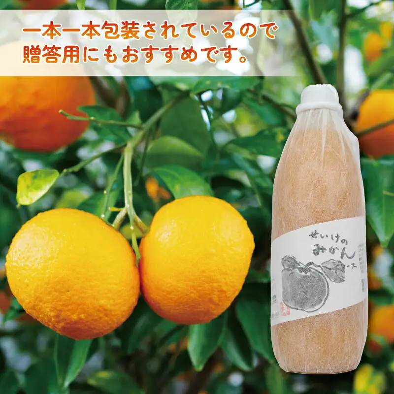 みかん ジュース 1,000ml×6本 清家 ジュース H028-170002