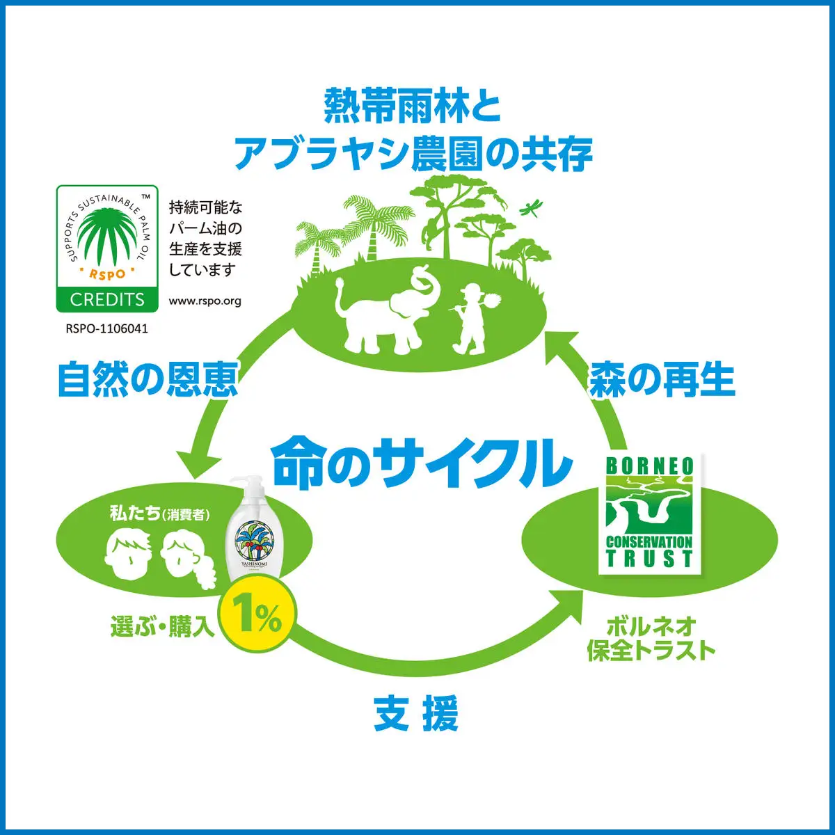 ヤシノミ洗剤 ポンプタイプ【30968】【サラヤ SARAYA 食器 野菜 洗剤 食器用洗剤 ヤシノミ洗剤 食器用 中性洗剤 キッチン洗剤 台所洗剤 無添加 無香料 saraya 茨城県 北茨城市】(AP201)