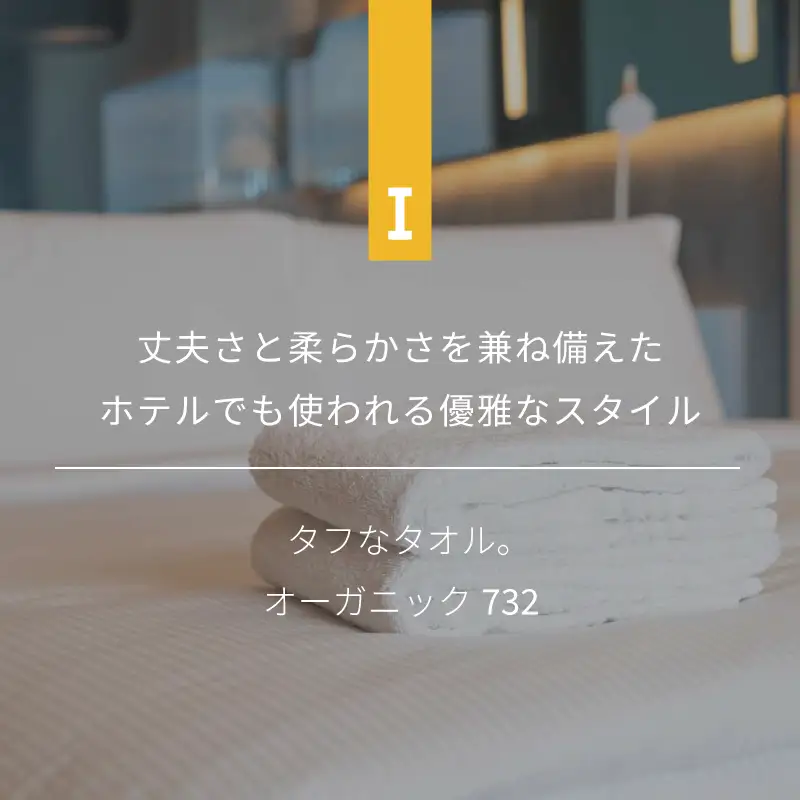 【4/26 土曜はナニする!?で紹介されました！】オーガニック732 タオルケット（グレイ）
