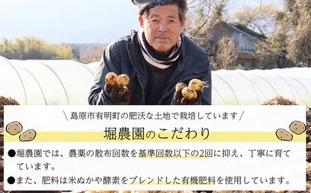 BH049 じゃがいも 希少品種 ながさき黄金 S?2Lサイズ混合 約10kg
