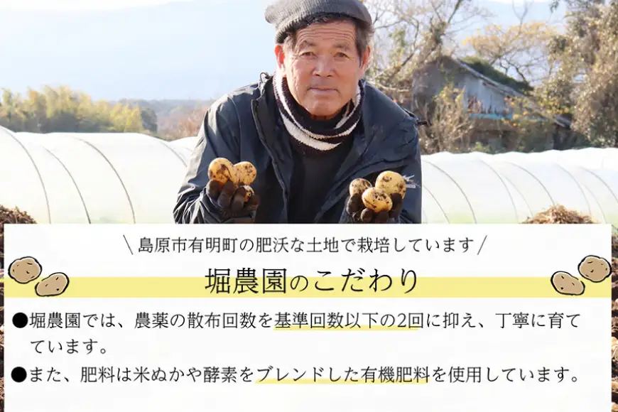 BH050 じゃがいも 訳あり ながさき黄金 出島 約5kg