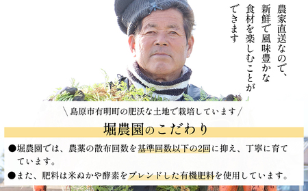 BH052 人参 訳あり 堀農園のこだわり人参 約10kg