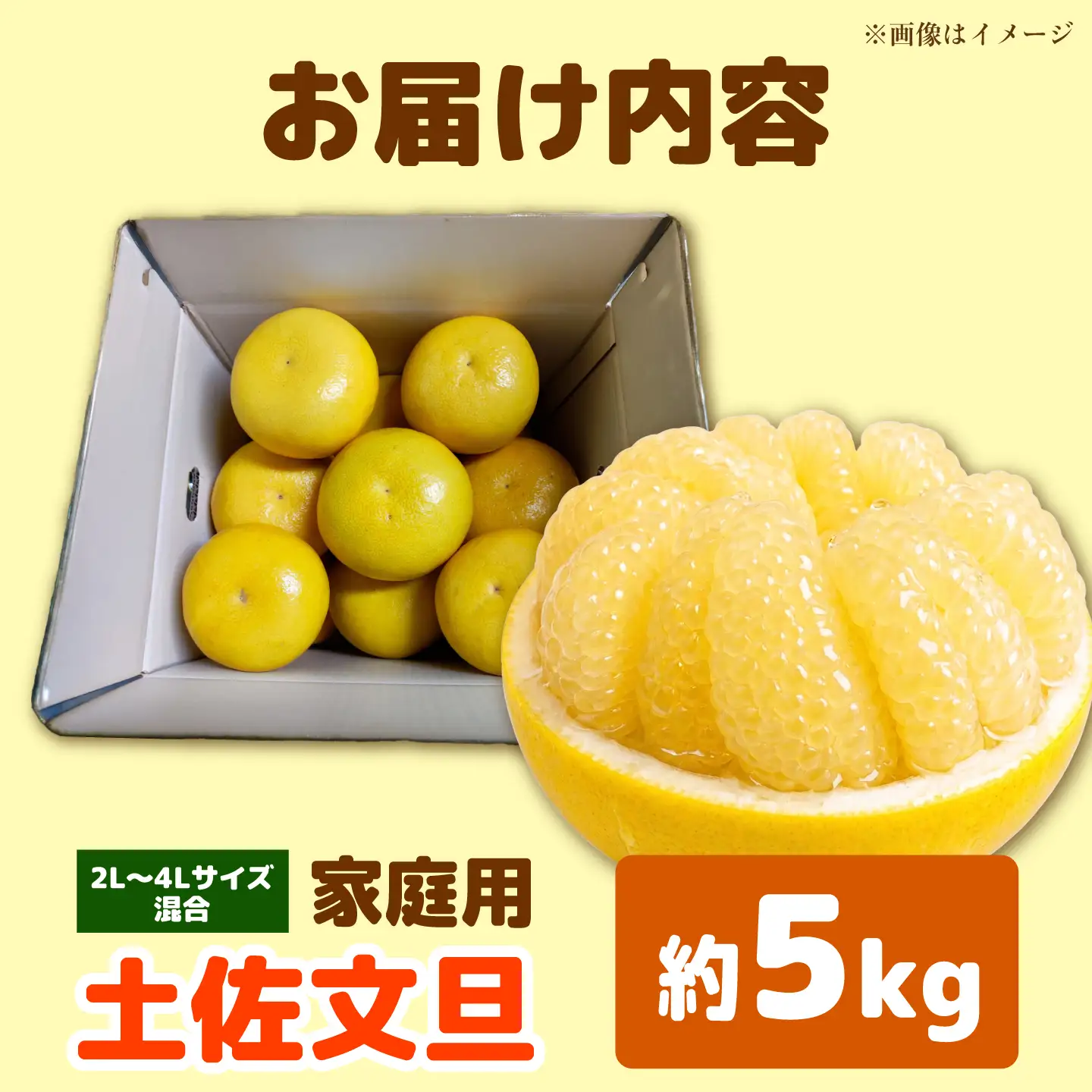 【先行予約】土佐文旦 大玉 家庭用 約5kg（2L-4Lサイズ混合：8玉-12玉） 先行予約 数量限定 文旦 ぶんたん ブンタン 5キロ 柑橘 フルーツ 果物 ご当地 お取り寄せ 土佐 高知＜2027年1月下旬から順次発送＞【玉木農園】 [BQAJ002]