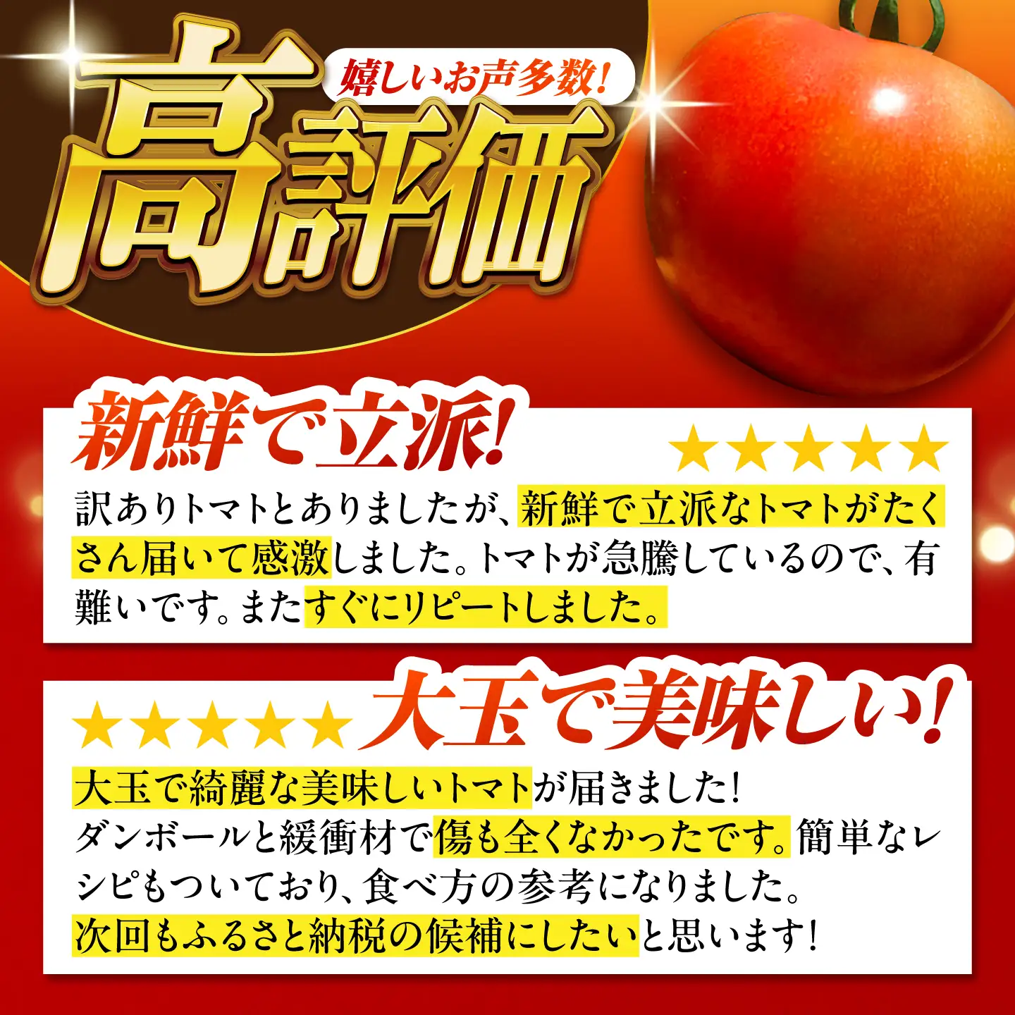 【先行予約】訳あり大玉トマト 4kg / 恵那市 / クリエイティブファーマーズ [AUAH016]