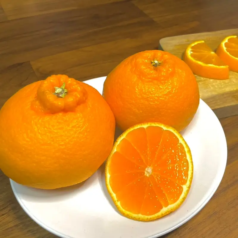 不知火 4kg 不知火 【nak015-1】
