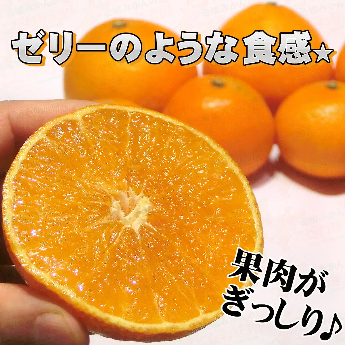 【紅まどんなと同品種】 訳あり まどんな 愛果28号 5kg 中井屋 みかん B015-173001