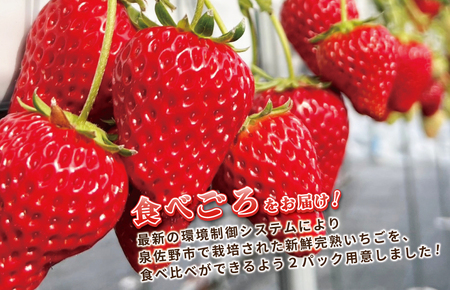 【先行予約】完熟新鮮 いちご 食べ比べ 2パック 合計540g以上
