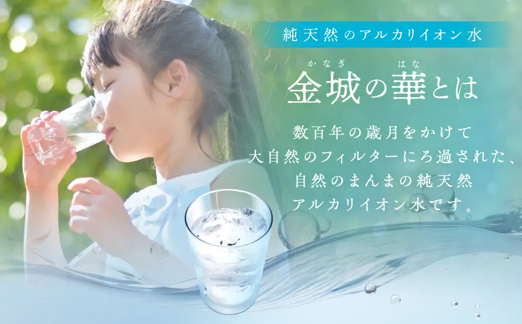 純天然アルカリイオン水 金城の華 500ml 24本入×2箱 水 ミネラルウォーター 【043_1835】