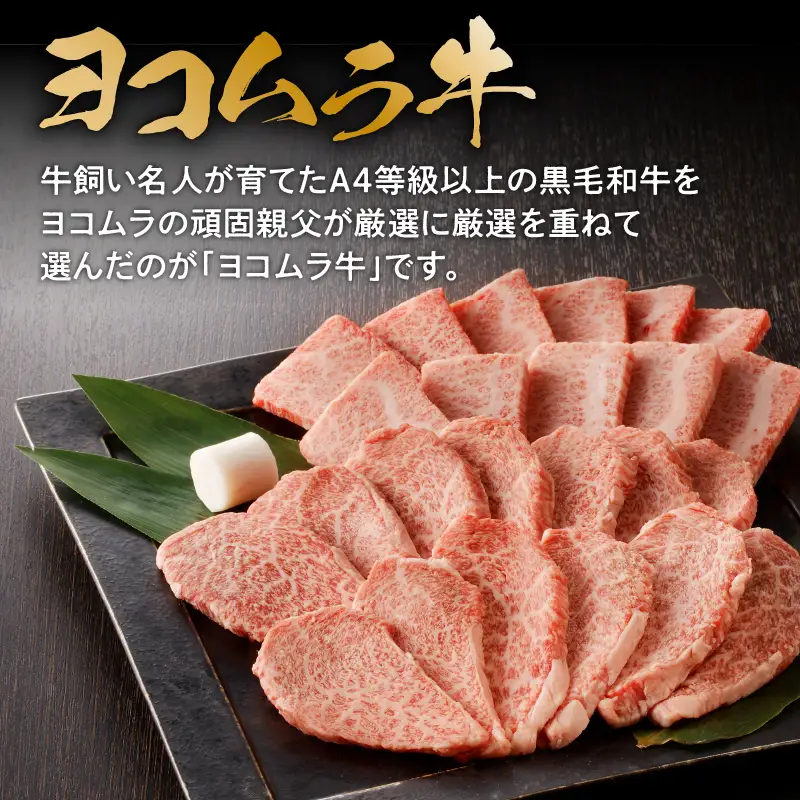 【 鹿児島 黒毛和牛 A4 ～ A5 】 焼肉 特上 セット ( 特上カルビ / 特上ロース ) K189-007 肉 牛肉 冷凍
