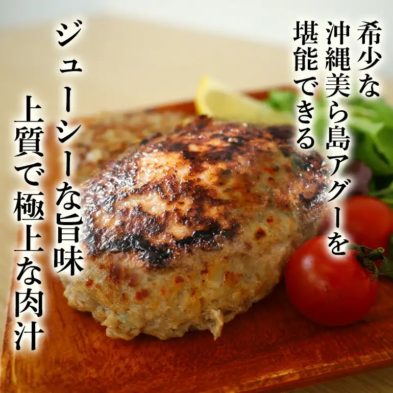 ハンバーグ 16個 セット あぐー 豚肉 61-4