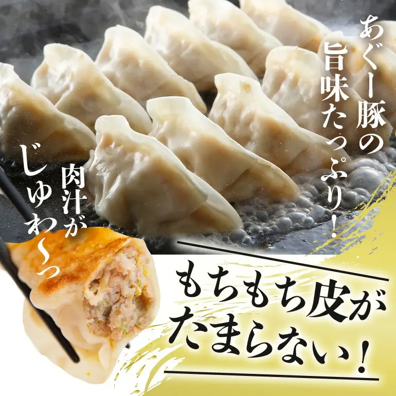 餃子 80個セット 20個入×4パック あぐー 61-3