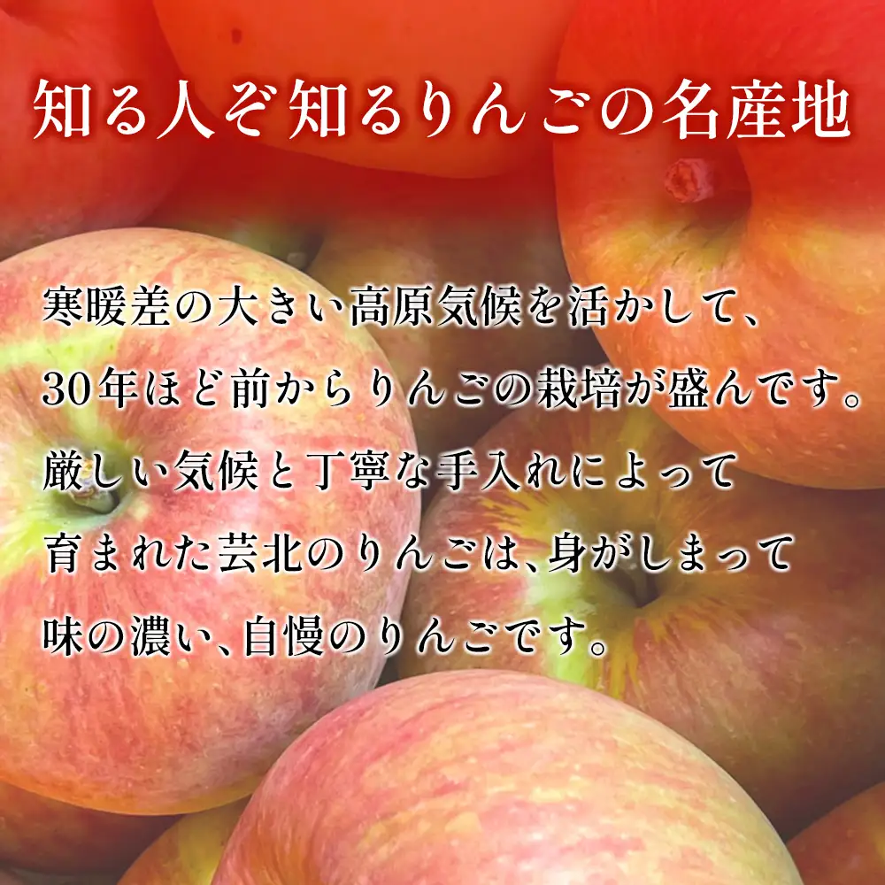 ≪10月中旬以降発送≫りんご 国産 3kg 農家直送 おかざき農園 芸北りんご 林檎 秋映 陽光 ぐんま名月 あいかの香り ふじ_OK097_001