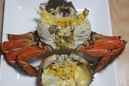 【訳あり：期間限定】天然活きモクズガニ 【小サイズ】 約1.5kg （15匹～22匹 オス・メス混合） ネットに入れてお届け 下処理不要 調理レシピ付き 　1049002