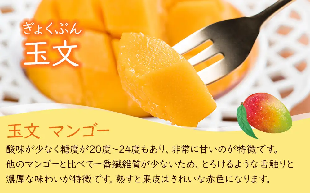 幻のマンゴー［玉文］約1kg 和歌山市［2026年8月下旬頃から発送］
