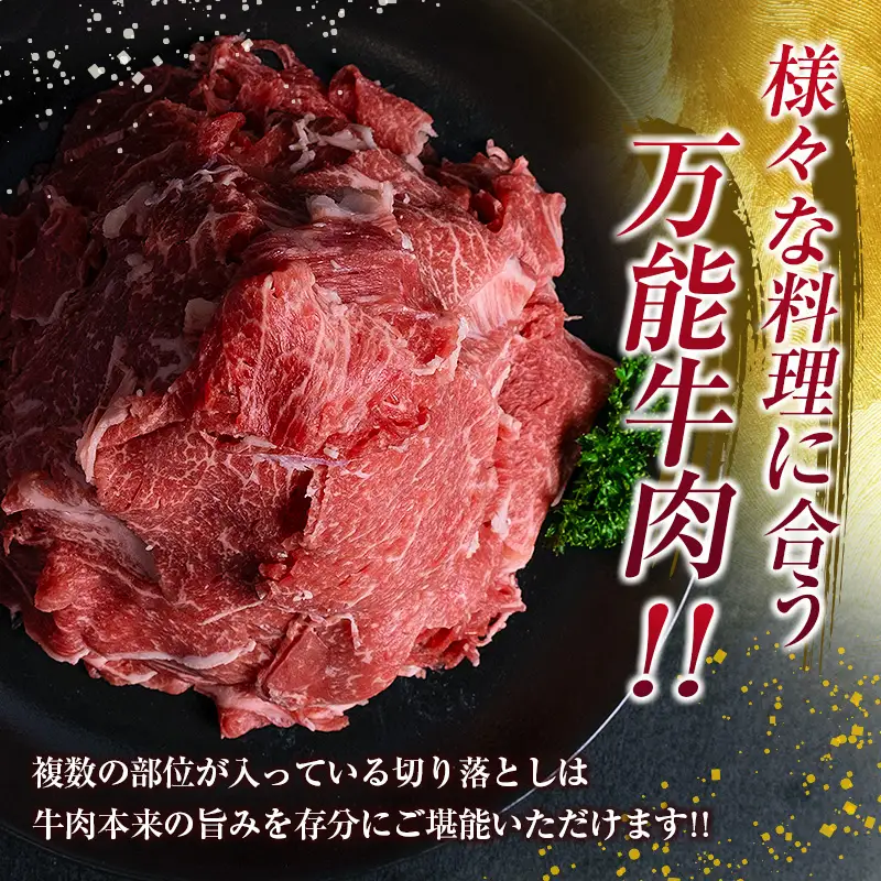 鹿児島県産 黒毛和牛 切落し 900g K002-049 肉 牛肉 冷凍