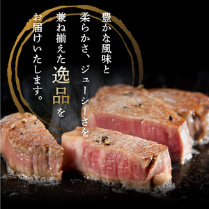 山梨県産 富士山麓牛 ロース・ヒレステーキ 800g 牛肉 食べ比べ ロース ヒレ ステーキ ジューシー 霜降り 