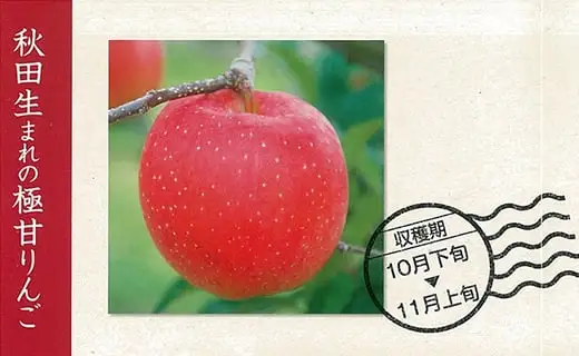 数量限定・期間限定 R8年産秋田限定りんご「秋田紅あかり」(3kg) 85P009007-03-oi3【陽気な母さんの店 】