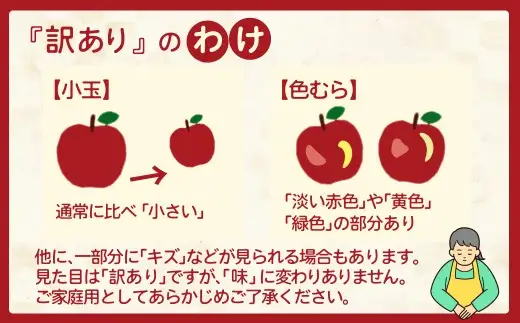 【先行予約】数量限定・期間限定 R8年産【陽気な母さんの店】訳ありりんご「ふじ」（5kg）　50P009001【陽気な母さんの店 】