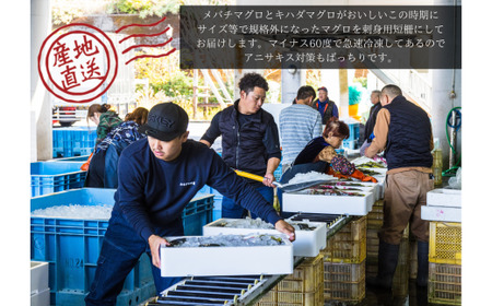 《 訳あり 》 メバチマグロ × キハダマグロ 短冊セット　約800g　 ★ カネアリ水産 ★ 
