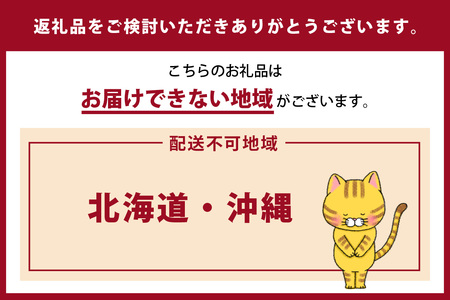 猫の爪とぎ　丸太（ロング・トンネルタイプ）｜猫 ねこ ネコ キャット cat 爪とぎ ダンボール 段ボール 写真映え 丸太 ハウス ロング かわいい 丈夫 日本製 国産 おもちゃ ペット インテリア 愛猫 動物 猫用品 猫用玩具 グッズ 愛猫へプレゼント ペット用品 愛知県 常滑市