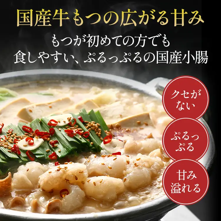 【ふるなびWEEK対象】博多若杉 もつ鍋 醤油味 ちゃんぽん 国産牛もつ鍋 4～5人前 