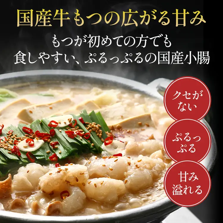 博多若杉 もつ鍋 4～5人前 + 無着色辛子明太子 切れ子 500g セット 牛もつ鍋