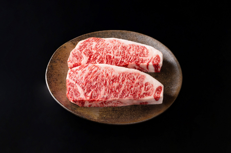 近江牛 定期便 6か月 6回 カネ吉山本 食べつくし定期便 -輝- Y129W 牛肉 ステーキ ハンバーグ ビーフシチュー コロッケ