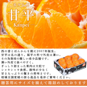 ＜愛媛県西予市産 甘平 約2.5kg（約7～15個入）＞ 果物 フルーツ 柑橘 みかん ミカン オレンジ かんぺい カンペイ 甘い 期間限定 季節限定 贈答用 ギフト プレゼント 食べて応援 特産品 愛媛県 西予市【常温】『2026年2月上旬～3月上旬迄に順次出荷予定』UUB0036