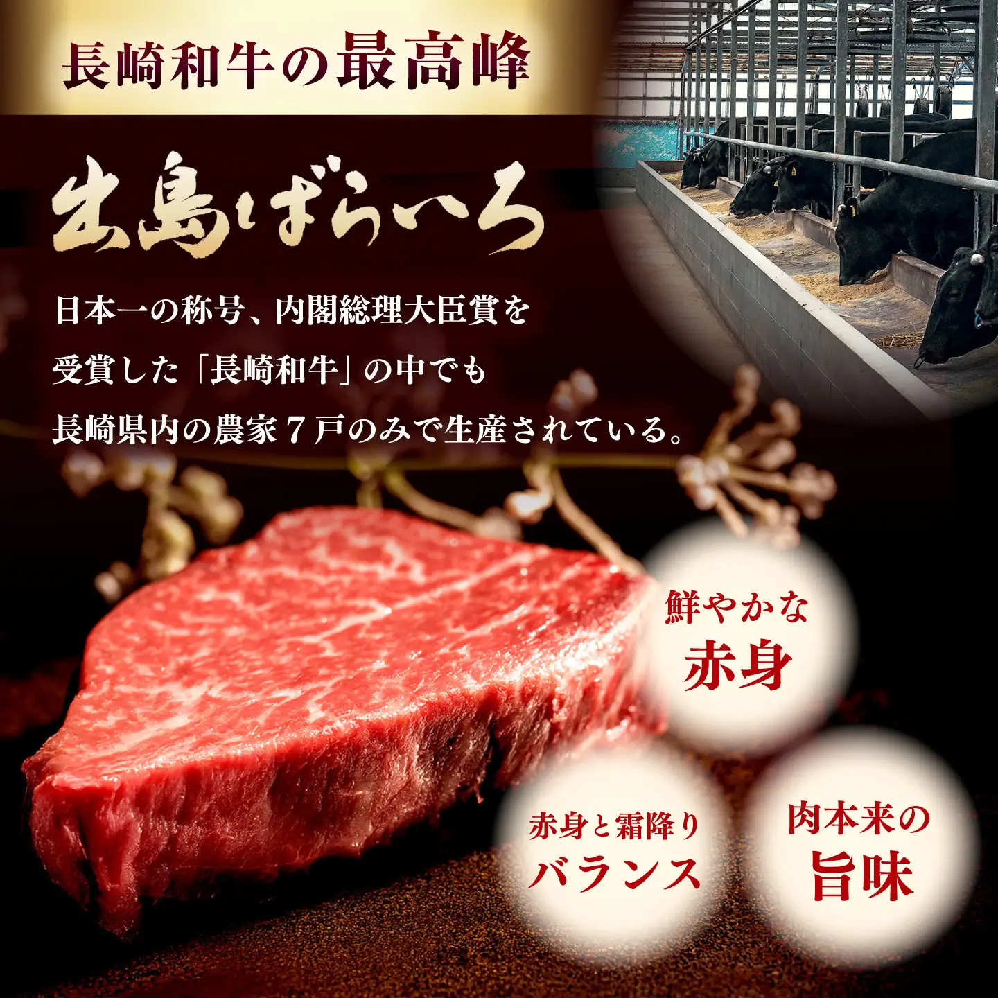 長崎和牛出島ばらいろヒレステーキ[EAX133]ヒレ 牛肉
