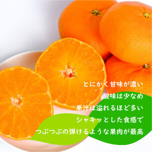 【2027年1月下旬ごろ順次発送】甘平 約3kg | みかん 柑橘 愛媛三大高級柑橘( 紅まどんな せとか 甘平 )【SHM0041】