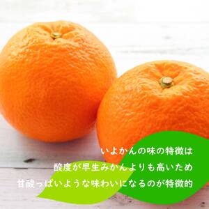 【2027年1月下旬ごろ順次発送】 伊予柑 いよかん 約 10kg 愛媛 興居島 柑橘 糖度 別名 宮内伊予柑【SHM006_x】
