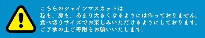 i860 ≪数量・期間限定≫シャインマスカット (計約2kg) 国産 鹿児島 出水市 ぶどう ブドウ 果物 くだもの フルーツ シャインマスカット マスカット 葡萄 旬 種なし 旬 歯ごたえ 冷蔵 【山門ぶどう園】