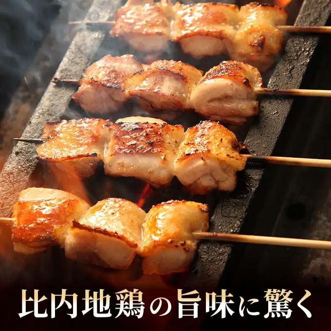【ふるなびWEEK対象】焼き鳥30本セット 秋田県産 比内地鶏 焼き鳥