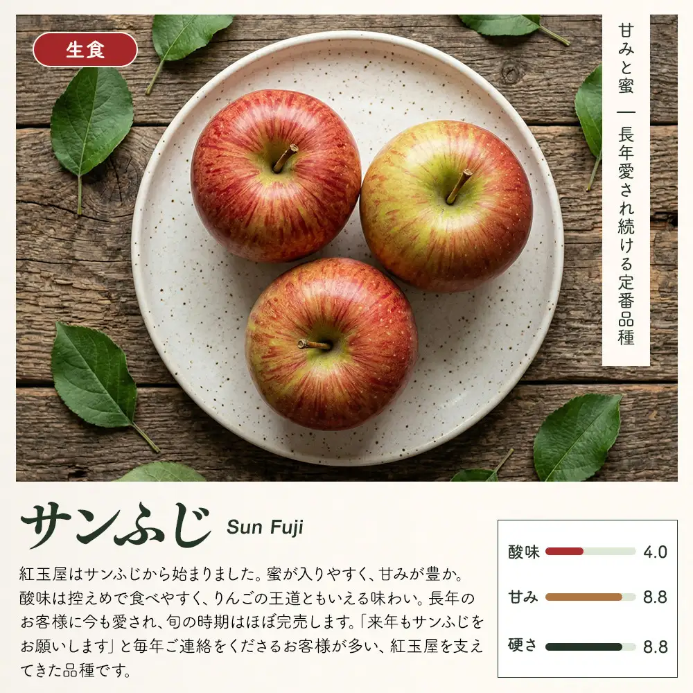 紅玉屋 長野市産【訳あり】サンふじ10kg【2026年12月上旬以降の出荷分】（紅玉屋） | りんご フルーツ りんご