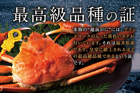 越前がに(オス)　400g以上× 1杯 　正規