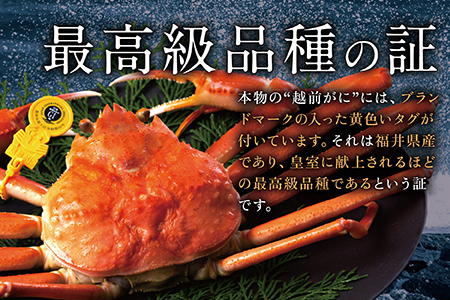 越前がに(オス)大サイズ訳あり　800g以上× 1杯