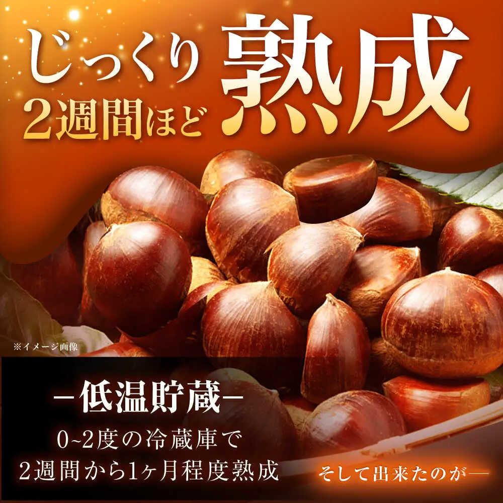 【先行予約】おやすみ栗（マロン）2kg（2Lサイズ） / 恵那市 / えな笠置山栗園 [AUAV001]