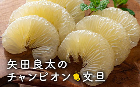 文旦 家庭用 5kg チャンピオン文旦
