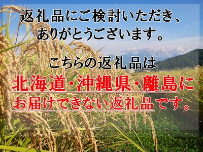 【令和7年産・白米5kg】佐久市産こしひかり（北海道・沖縄・離島は配送不可） 長野県 信州 こしひかり コシヒカリ 白米 精米 お米 一等米 単一原料米