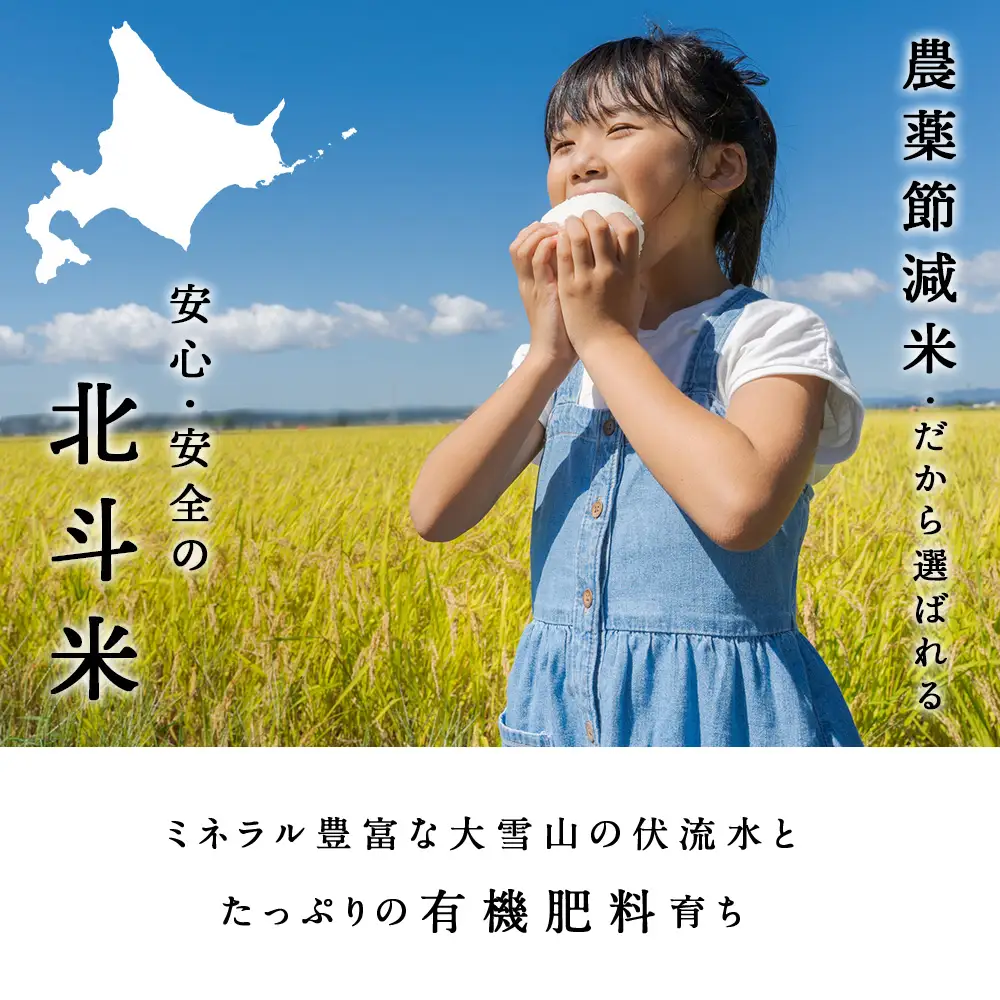 【レビューキャンペーン実施】【定期便 12ヵ月】北斗米ゆめぴりか5kg 