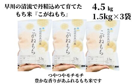 新米 新潟県産 もち米『こがねもち』4.5kg（3升）【12月25日決済分まで年内発送】令和7年産 つやつやモチモチ もち米ならではの芳醇な香り 清耕園ファーム 【餅 赤飯 おこわ ご飯 ライス ふるさと納税 米 ブランド米】【もち こがねもち もち米 】