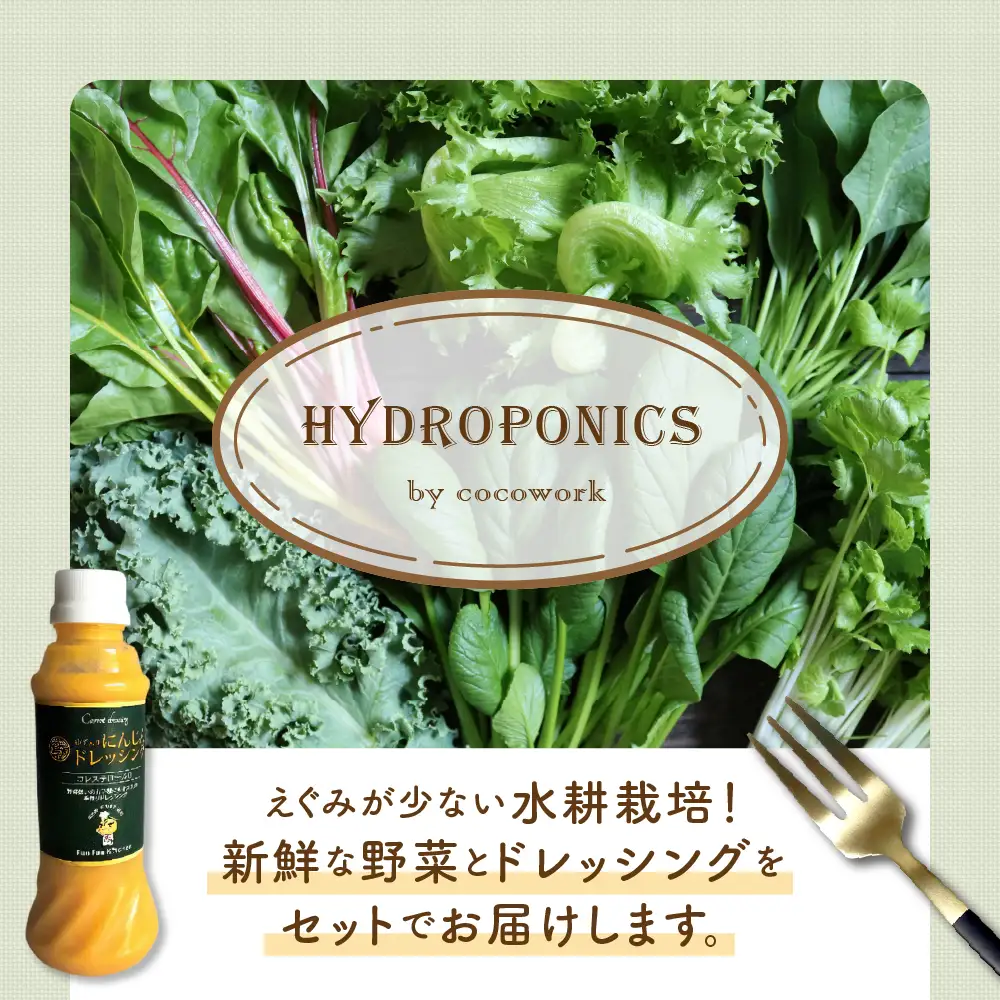 ココワークの水耕栽培野菜 約500g ゆず人参ドレッシング セット 