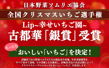 奈良県産ブランド「古都華（ことか）」4パック（約1080g）| フルーツ くだもの 果物 いちご イチゴ ことか コトカ 古都華 奈良県 五條市