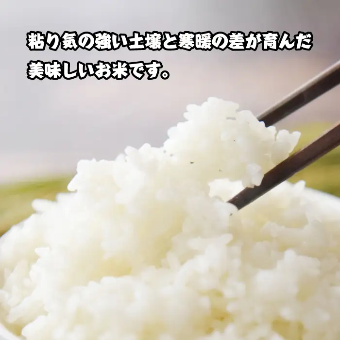 淡路島産　お米「キヌヒカリ」（純米）5ｋｇ