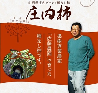 SA3072　果樹専業農家 佐藤農園の庄内柿　約5kg(29～31玉入)　L～2Lサイズ