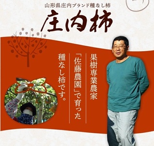 SA3073　果樹専業農家 佐藤農園の庄内柿　約10kg(54～72玉入)　M～2Lサイズ