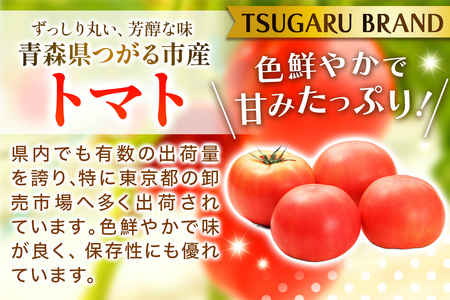 乾燥トマト(エアードライ製法) 100g 青森県 つがる市産 [0523]