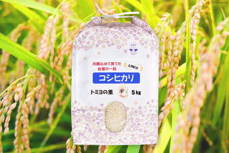 【6回 米 定期便】【令和8年産】米 コシヒカリ 5kg ×6回 総計 30kg
