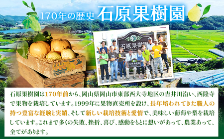 【先行予約】梨 なし 乙女梨 6～9玉 4kg 以上 石原果樹園　フルーツ 果物 新鮮 《11月中旬-12月下旬頃より発送予定》岡山県 浅口市 果物 フルーツ 梨 鴨梨 備前乙女梨 ヤーリー