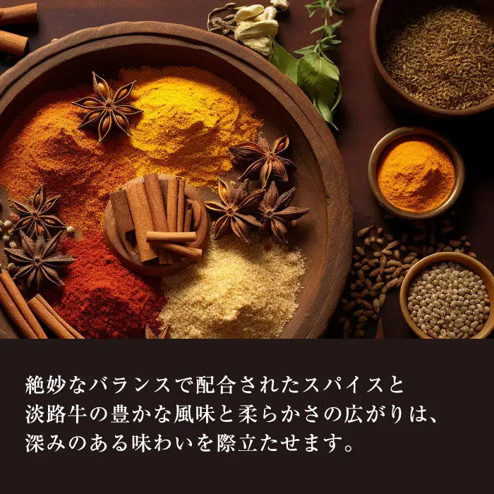 淡路牛100％ ビーフカレー 200g×8袋　レトルトカレー